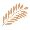 MIDTFJORD AGRO ApS logo