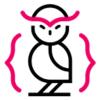 iiu.dk logo
