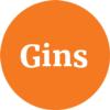 Gins ApS logo