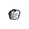 Truffle Shop ApS logo