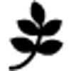 SALUS LEASING ApS logo