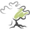 Qvercus logo