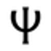 Psyche Worldwide ApS logo