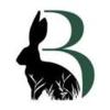 Bornholm Digital logo