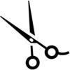 KIS KIS ApS logo
