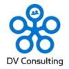 DV CONSULTING A/S logo
