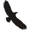 Eagle Vision v/Sten Svenssson logo