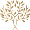 Woodinspire International ApS logo