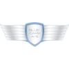 BLUE CARS A/S logo