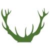Naturplant ApS logo