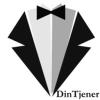 D. T. VIRKAR SERVICE ApS logo
