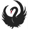 Black Swans Exist ApS logo