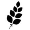 Komplementarselskabet PMCBM ApS logo