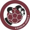 Ringkøbing Håndbold A/S logo