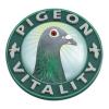 Pigeon Vitality Danmark ApS logo