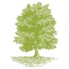 Taplow Executive Interim ApS logo