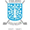 LE CHI ApS logo