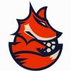 TEAM SYDHAVSØERNE A/S logo
