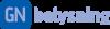 GN BELYSNING A/S logo
