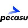 Pecasu Esport ApS logo