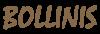 Bollinis Restaurant v/Özgü Bayraktar logo