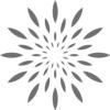 Cleanic ApS logo