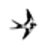Dress the bird ApS logo