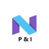 Nordic P&I Group ApS logo