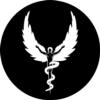 Safe Nordic ApS logo