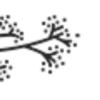KVANN ApS logo