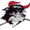 Rødovre Mighty Bulls ApS logo