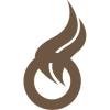 Spanning Holding ApS logo