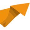 Staalsat ApS logo