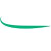 Clever Multiservice ApS logo