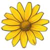 Verdens Endes Mikrogrønt ApS logo