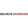Bestyrelse og ledelse ApS logo