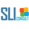 SLI Holding ApS logo