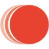 Holosun ApS logo