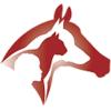 SHD-Invest ApS logo