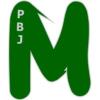 PBJ HOLDING STRUER ApS logo