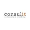 Consulit v/Bjarke Kristensen logo