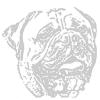 Dyrlunds Ace v/Helle Dyrlund logo
