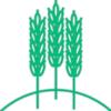 HENRIK HAUGE MOLS logo