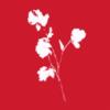 Flowerism Studio ApS logo