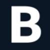 Baldur Security ApS logo