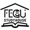 FEGU Hellerup v Rene Steffensen logo