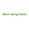 Black Spring ApS logo