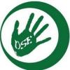 Danske Skoleelever logo