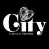 HERNING CITY FORENING logo