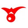 Bach Logi IVS logo